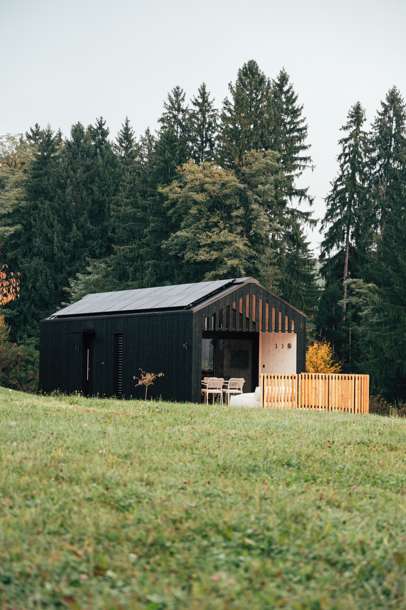 View of one of Hapfn’s tiny houses. The Vulcano Black façade naturally blends into the landscape of Styria’s Schilcherland region.